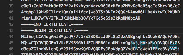 screen ssl bad line correct